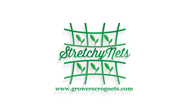 Stretchy Nets
