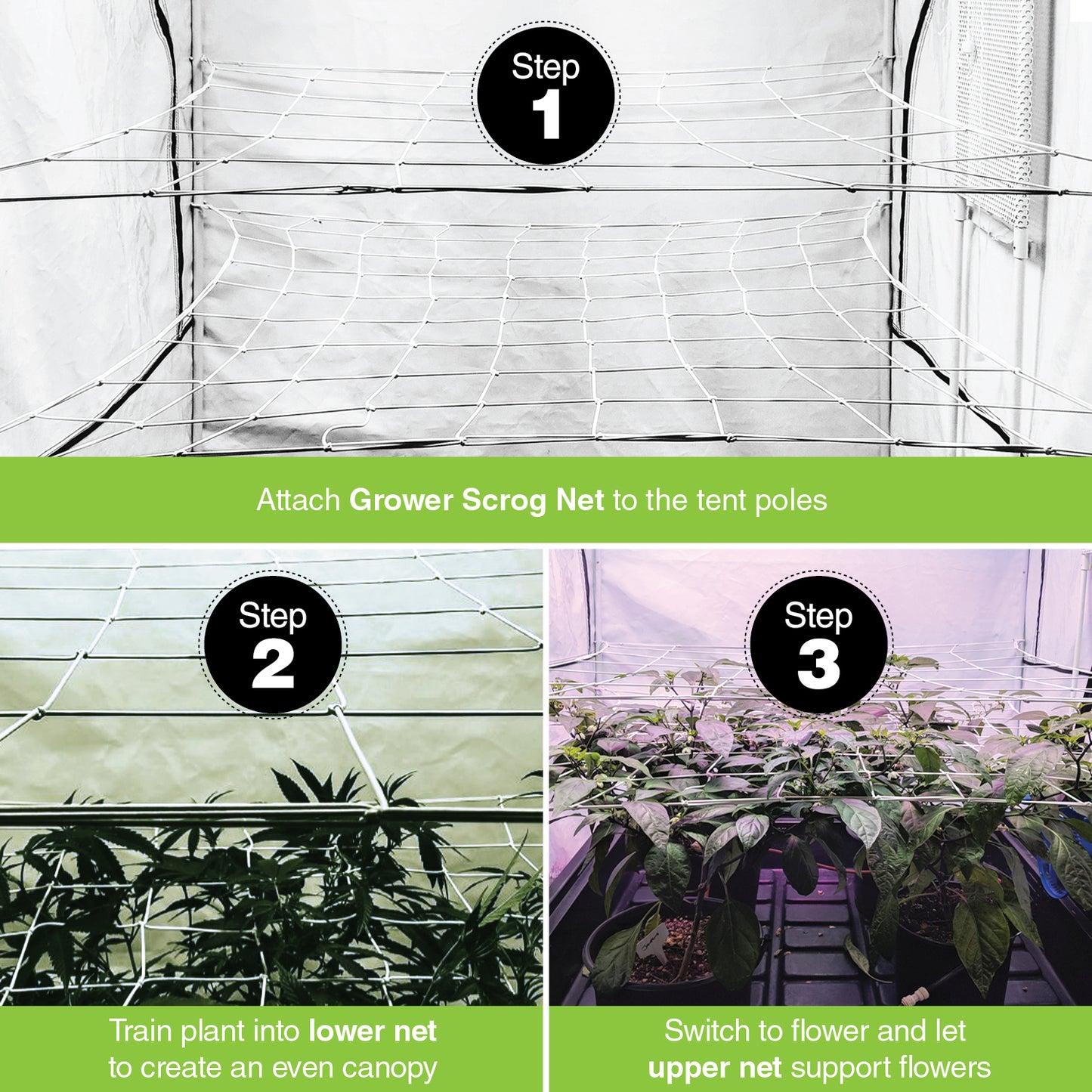 Scrog Net for Grow Tents 2 pack (4" and 6" mesh nets.)