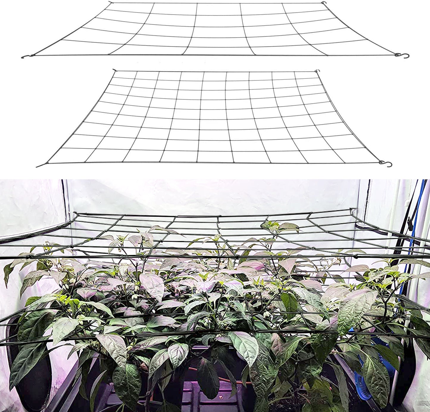 Scrog Net for Grow Tents 2 pack (4" and 6" mesh nets.)__Black Nets