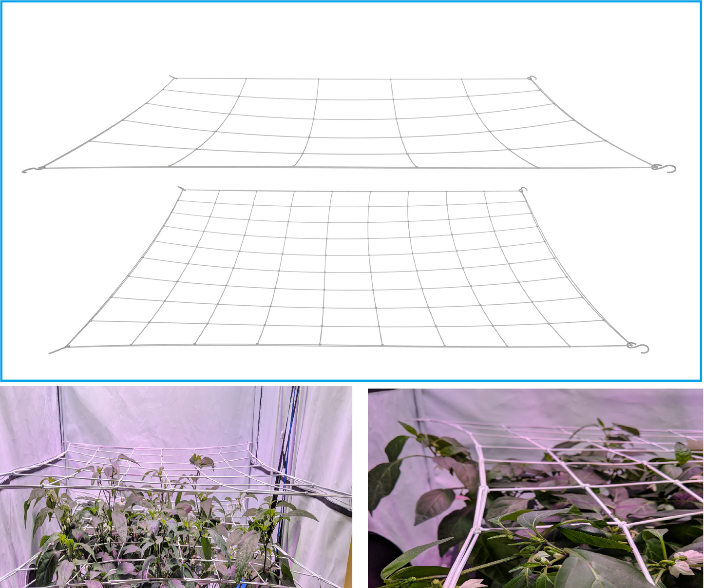 Scrog Net for Grow Tents 2 pack (4" and 6" mesh nets.)