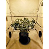 Scrog Net for Grow Tents 2 pack (4" and 6" mesh nets.)